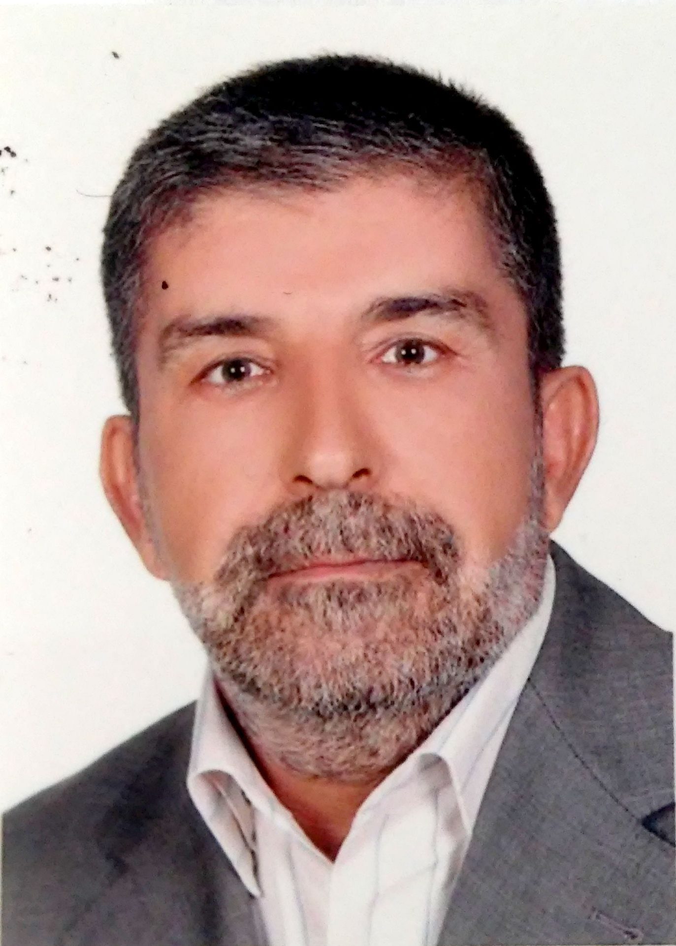 محمود علینقی زاده